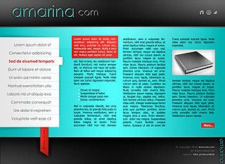 Szablon www dla projektów takich jak strona www dla zarzÄdcy obiektu: Amarina