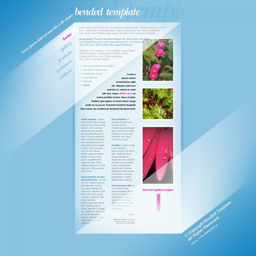 strona www dla fotografa