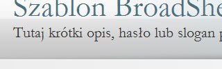 Szablon strony WWW: Broad Sheet