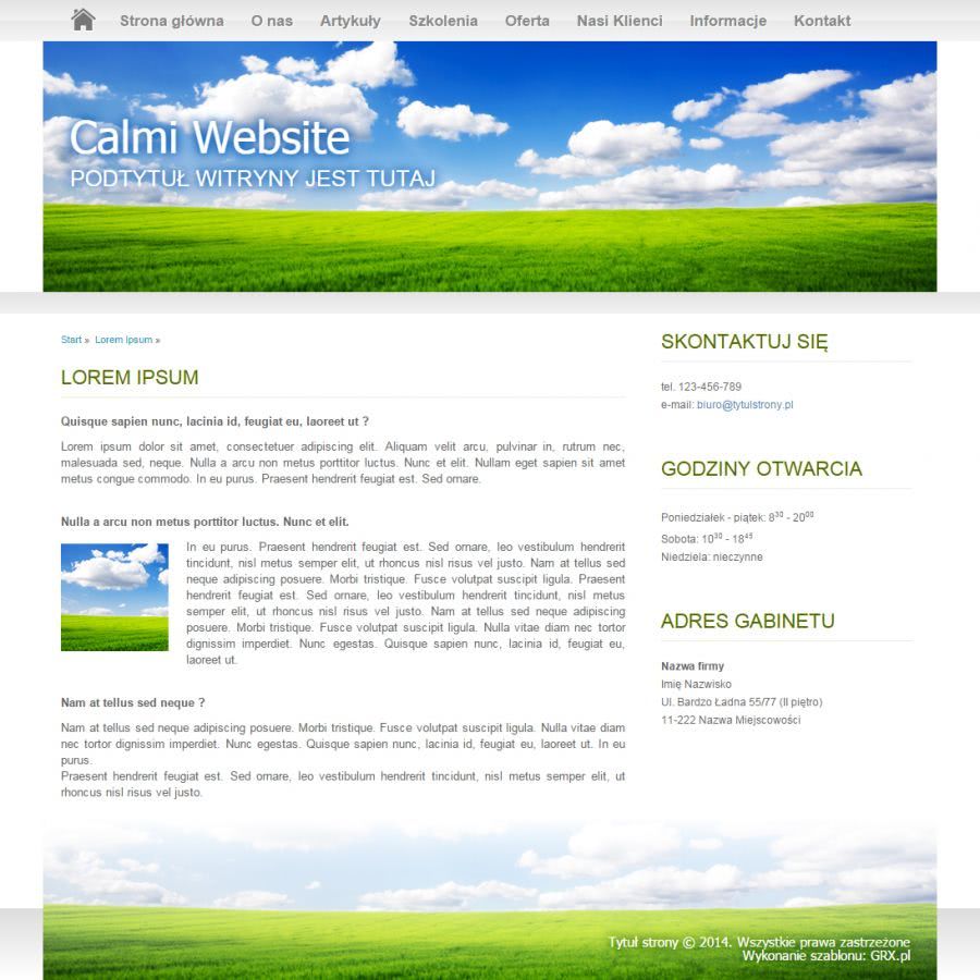 strona www do prezentacji usĹug copyrighterĂłw