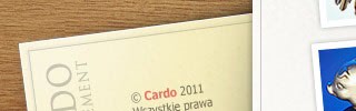 Szablon strony WWW: Cardo