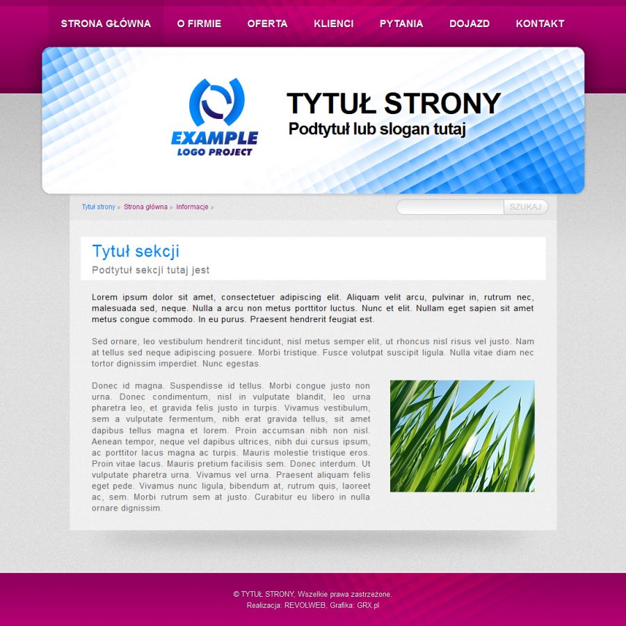 strona www dla prezentacji produktu