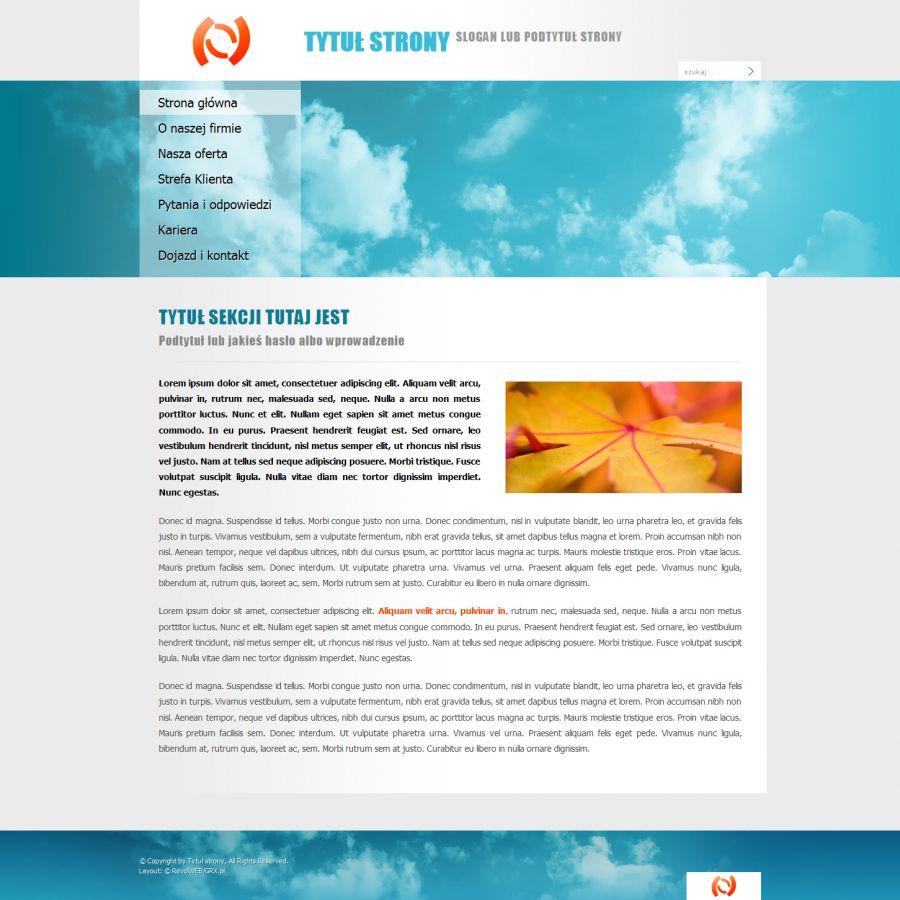 strona www dla firmy oferujÄcej usĹugi