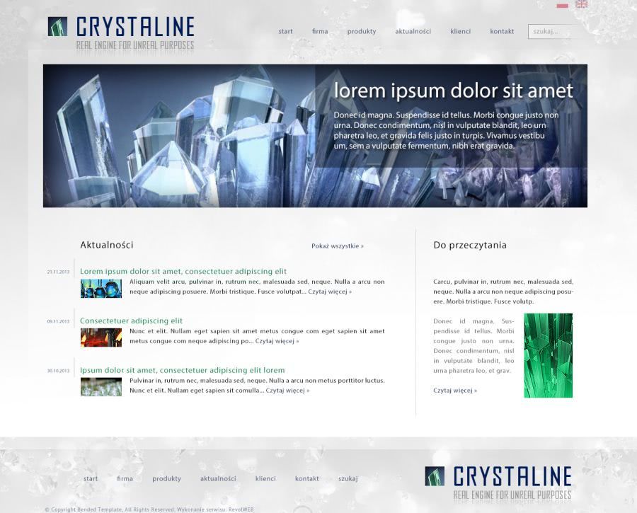 strona www dla firmy usĹugowej