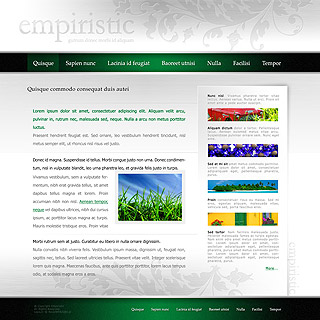Szablon www dla projektów takich jak strona dla firmy ekologicznej: Empiristic
