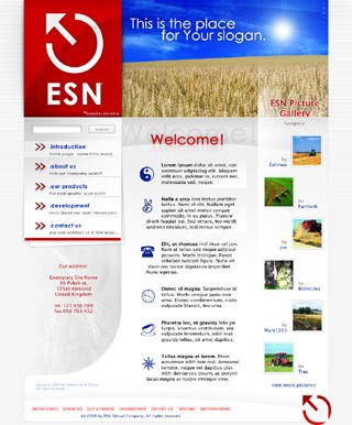 Szablon www dla projektów takich jak strona www dla biznesu rolniczego: ESN