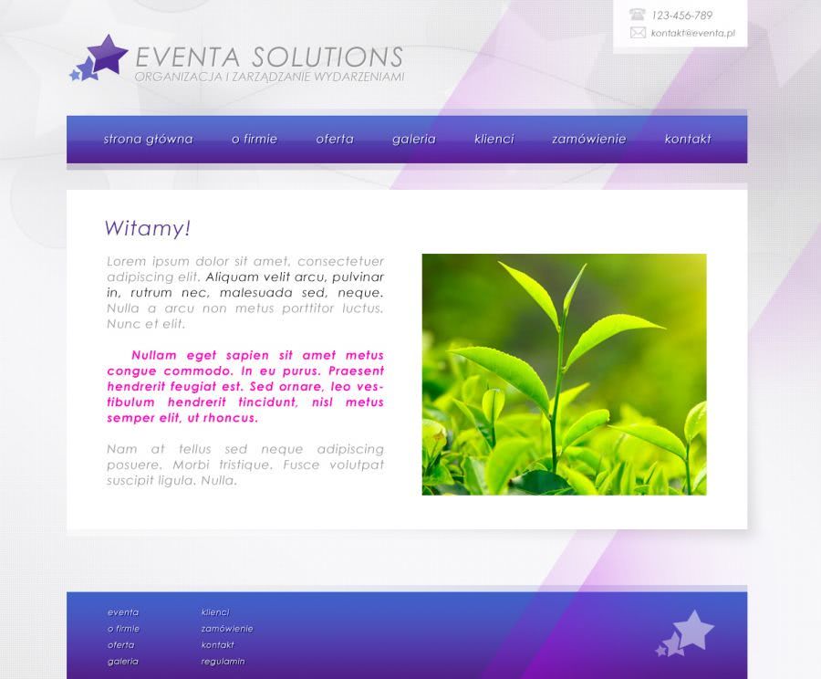 strona internetowa dla firmy zajmujÄ
cej siÄ organizacjÄ
eventĂłw