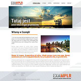 Szablon www dla projektów takich jak strona www dla przedsiÄbiorstwa technicznego: Examplr