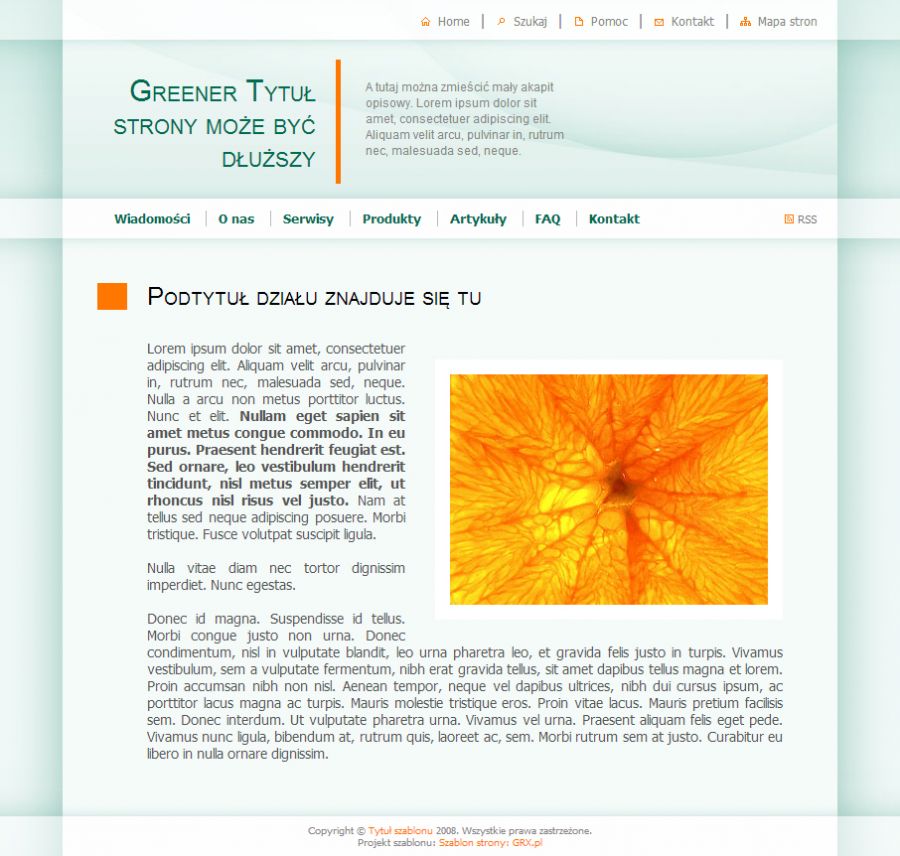 strona www dla organizacji