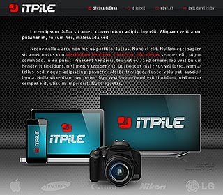 Szablon www dla projektów takich jak strona www dla wypoĹźyczalni sprzÄtu: IT Pile