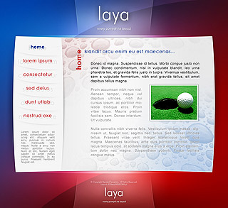 Szablon www dla projektów takich jak strona dla producenta sprzÄtu rtv: Laya