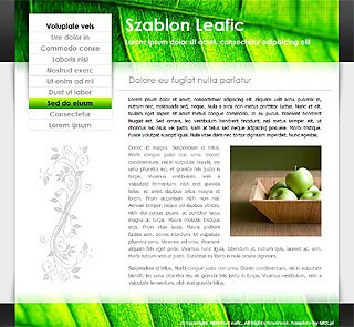 Szablon www dla projektów takich jak strona www dla firmy biotechnologicznej: Leafic