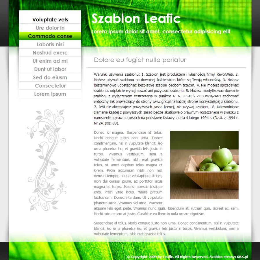 strona www dla firmy biotechnologicznej