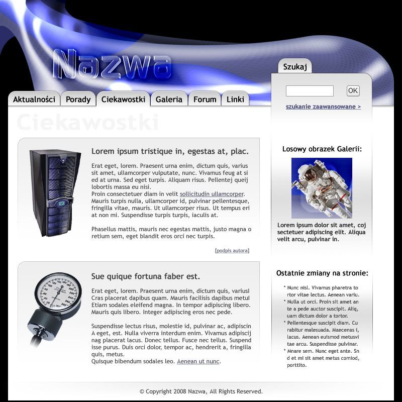 strona www dla magazynu technologicznego