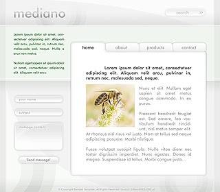 Szablon www dla projektów takich jak strona www prezentacja osoby: Mediano