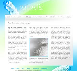 Szablon www dla projektów takich jak strona www dla pisarza: Naturalic