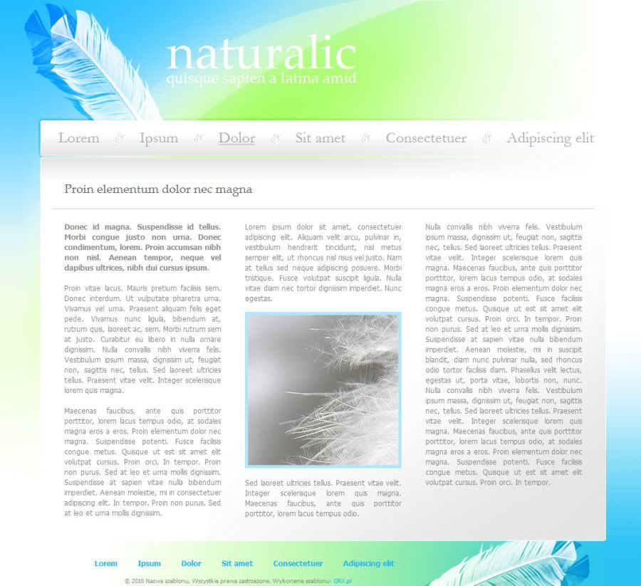 strona www dla pisarza