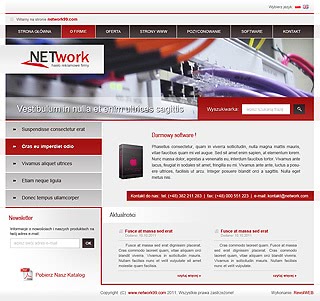 Szablon www dla projektów takich jak strona dla przedsiÄbiorstwa it: Network