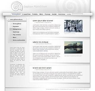 Szablon www dla projektów takich jak strona www dla kolportera: Plain Silver New