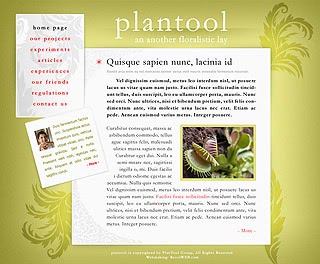 Szablon www dla projektów takich jak strona www dla bloga poetyckiego: Plantool