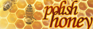 Szablon strony WWW: Polish Honey