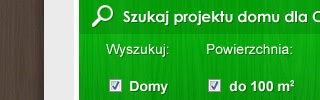 Szablon strony WWW: Projekty-domow24
