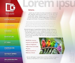 Szablon www dla projektów takich jak strona www dla agencji graficznej: Realisera