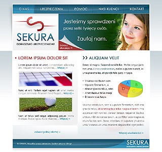 Szablon www dla projektów takich jak strona www dla firmy ochroniarskiej: Sekura