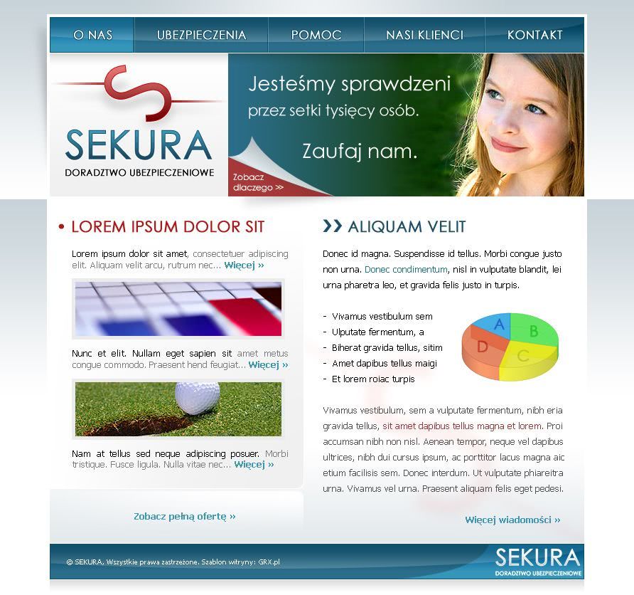 strona www dla firmy ochroniarskiej