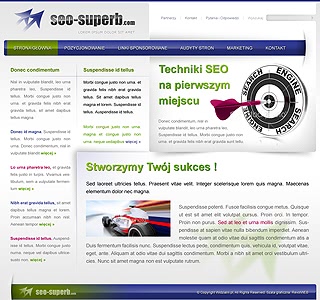 Szablon www dla projektów takich jak strona www dla firmy seo: SEO Superb
