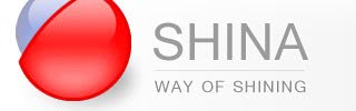 Szablon strony WWW: Shina