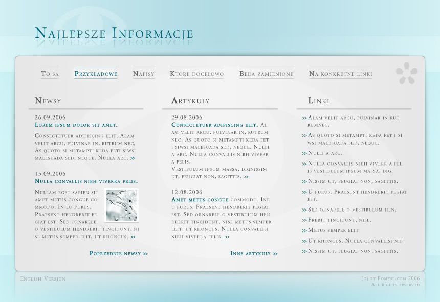 strona www dla gazety