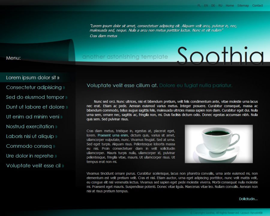 strona www z informacjami tekstowymi