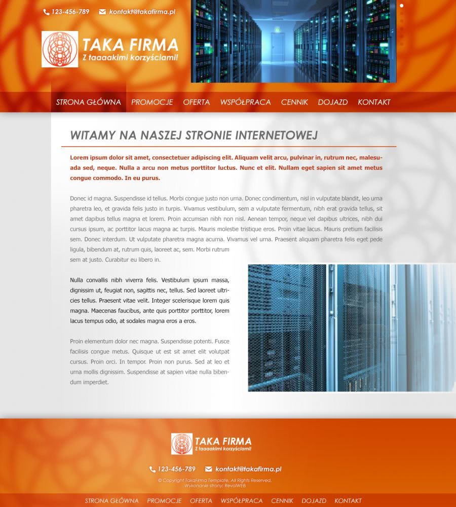 firmowa strona www