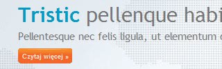Szablon strony WWW: Tristic