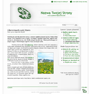 Szablon www dla projektów takich jak strona www dla oryginalnego bloga: White Shadow