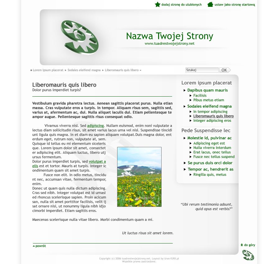 strona www dla oryginalnego bloga